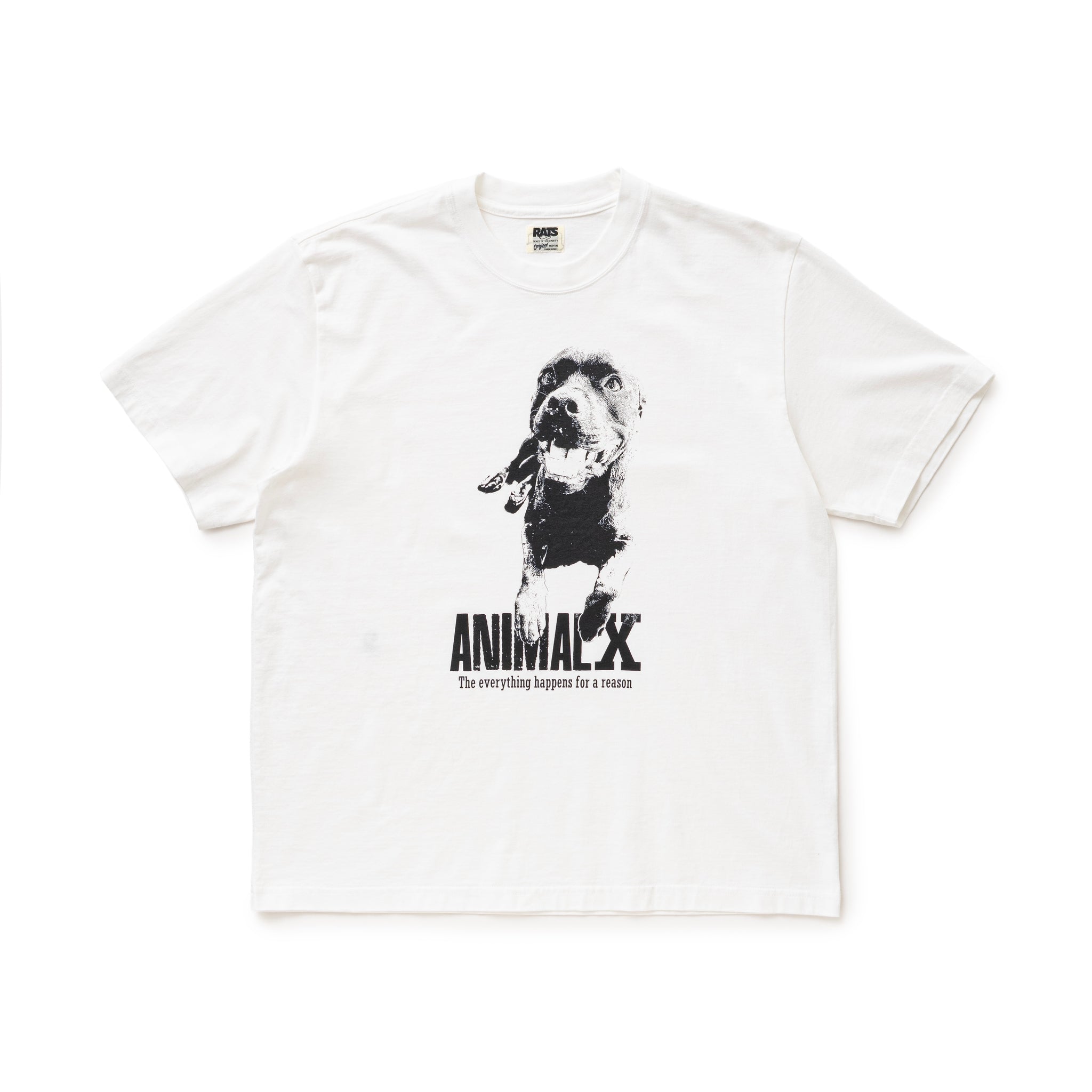RATS(ラッツ)の半袖シャツ 鼠 TEE | RATS(ラッツ) / トップス カットソー半袖・Tシャツ (メンズ