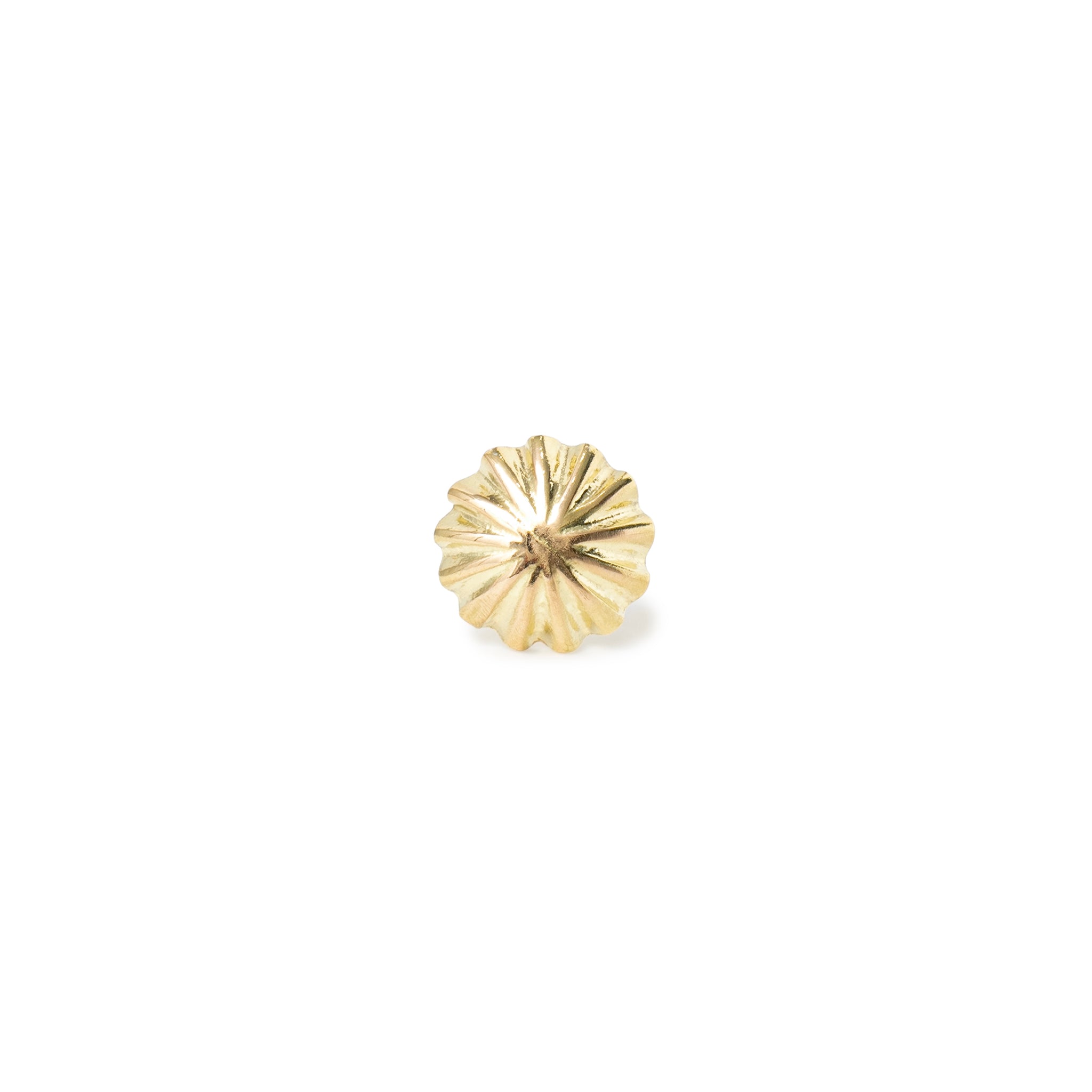 LIMITED ITEMS – JOLLY ROGER